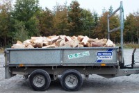  twin axel trailer filled with firewood